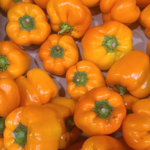 Poivrons oranges