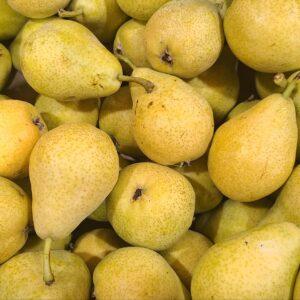 Poires Guyot